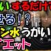 【簡単ダイエット】レモン水うがいダイエット１０日間で何キロ痩せるか試してみました＃レモン水＃うがい＃スリム＃簡単＃痩せる＃Ｔｉｋｔｏｋ＃ダイエット＃人気＃－5キロ＃ヒルナンデス＃りんご酢ダイエット